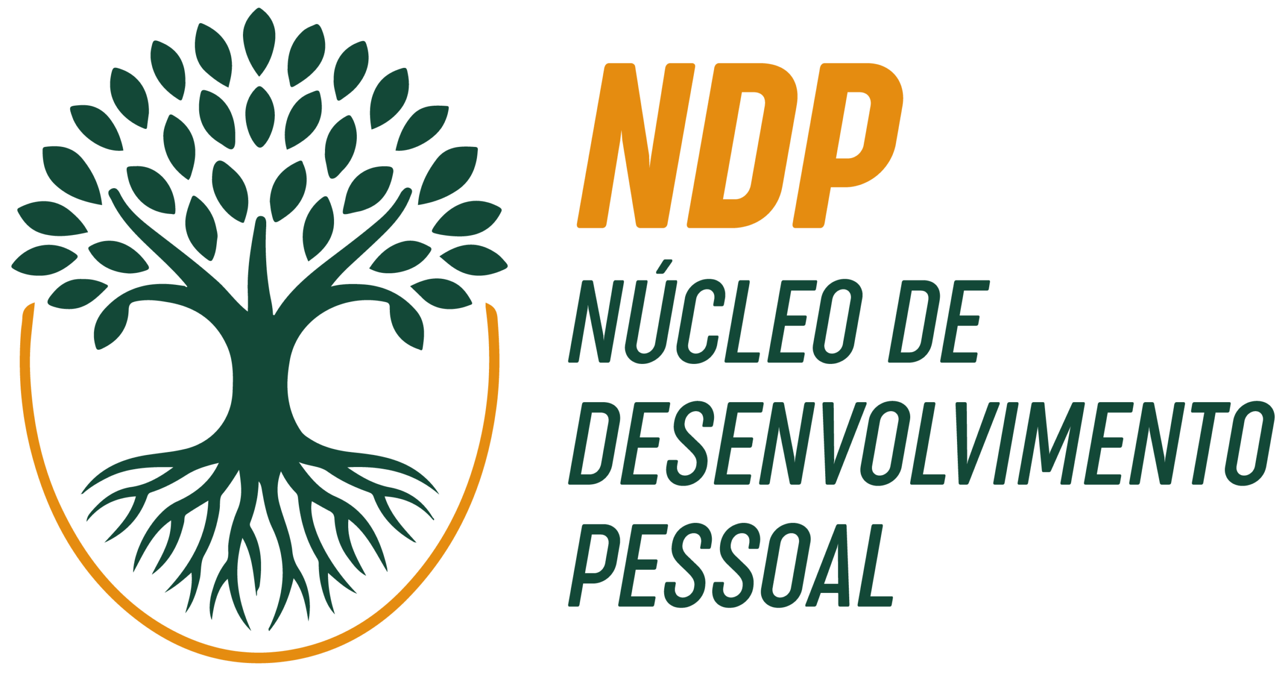 NDP Transforma